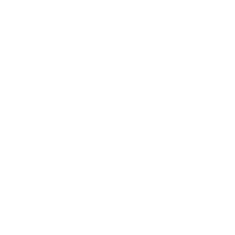 facbook icon white